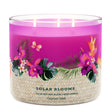 Load image into Gallery viewer, Solar Blooms 3-Wick Candle
