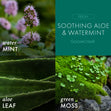Load image into Gallery viewer, Soothing Aloe &amp;amp; Watermint 3-Wick Candle

