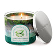Load image into Gallery viewer, Soothing Aloe &amp;amp; Watermint 3-Wick Candle

