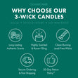 Load image into Gallery viewer, Soothing Aloe &amp;amp; Watermint 3-Wick Candle
