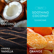Load image into Gallery viewer, Soothing Coconut 3-Wick Candle
