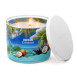 Load image into Gallery viewer, Soothing Coconut 3-Wick Candle

