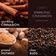 Load image into Gallery viewer, Sparkling Cinnamon 7oz Single Wick Candle
