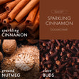 Load image into Gallery viewer, Sparkling Cinnamon Odor Eliminating Room Spray
