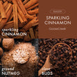 Load image into Gallery viewer, Sparkling Cinnamon Wax Melt
