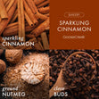 Load image into Gallery viewer, Sparkling Cinnamon 3-Wick Candle
