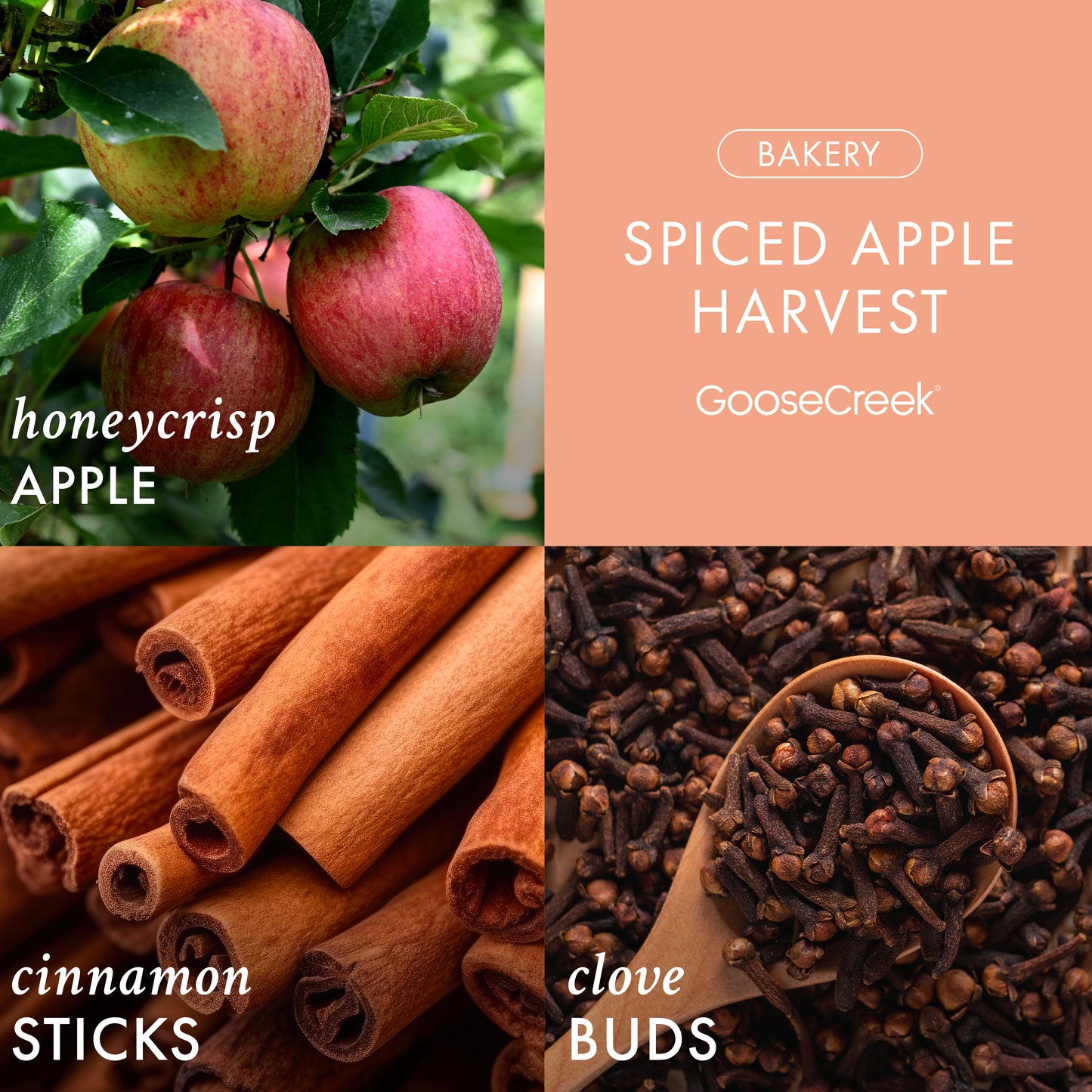 Spiced Apple Harvest 3-Wick Candle