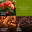 Load image into Gallery viewer, Spiced Apple Harvest 3-Wick Candle
