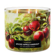 Load image into Gallery viewer, Spiced Apple Harvest 3-Wick Candle
