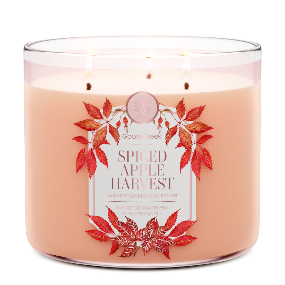 Spiced Apple Harvest 3-Wick Candle