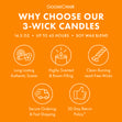 Load image into Gallery viewer, Spiced Fallen Leaves 3-Wick Candle
