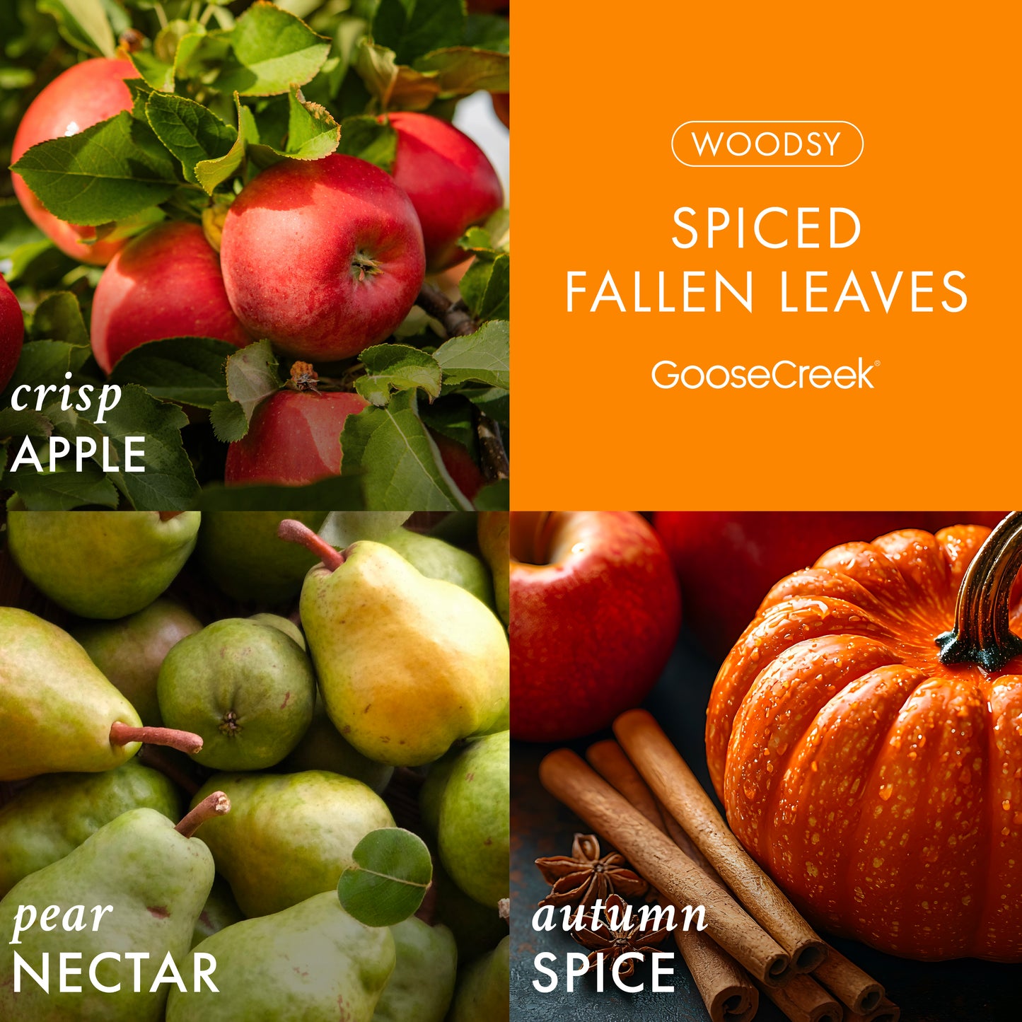 Spiced Fallen Leaves Wax Melt