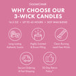 Load image into Gallery viewer, Starlit Berries 3-Wick Candle
