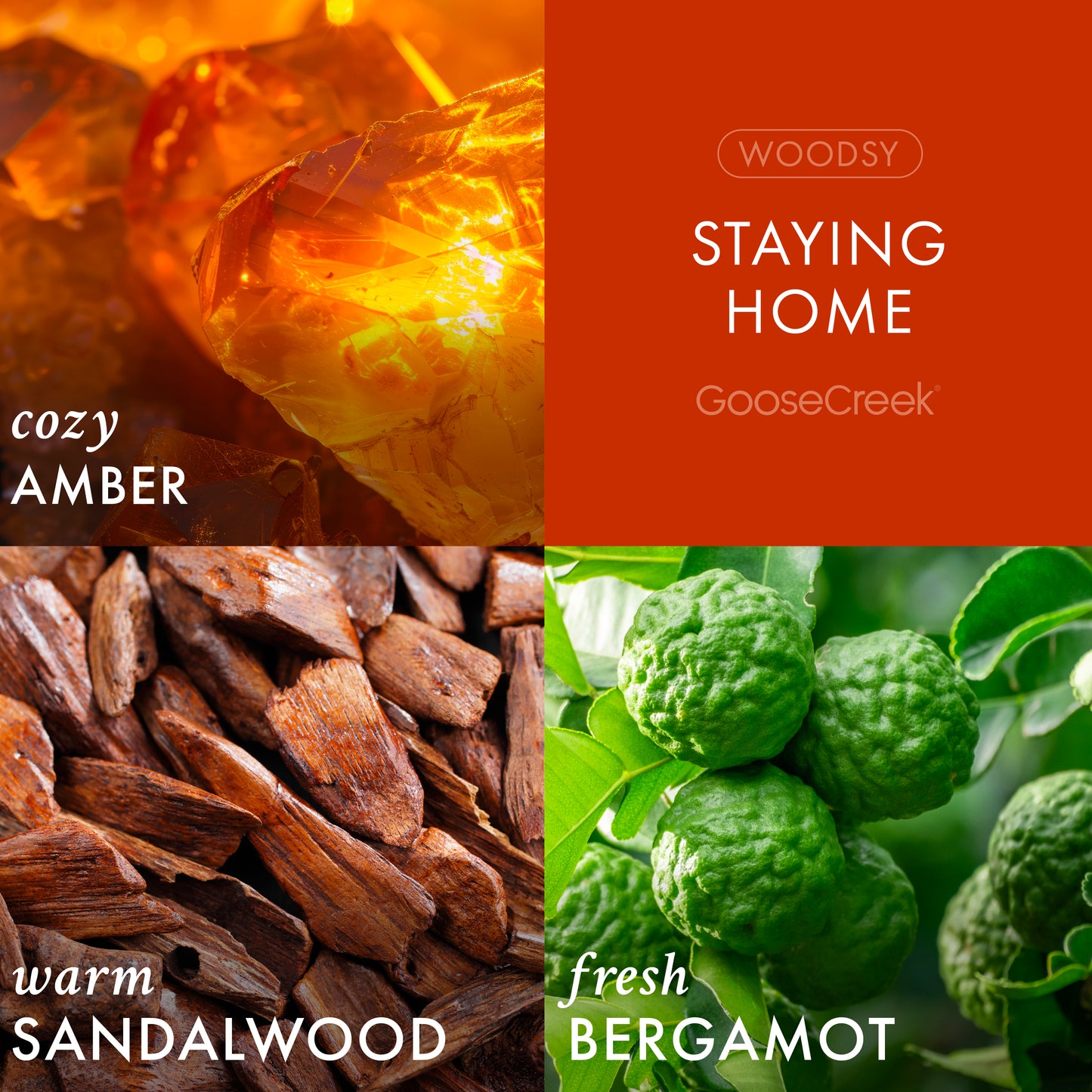 Staying Home 3-Wick Candle
