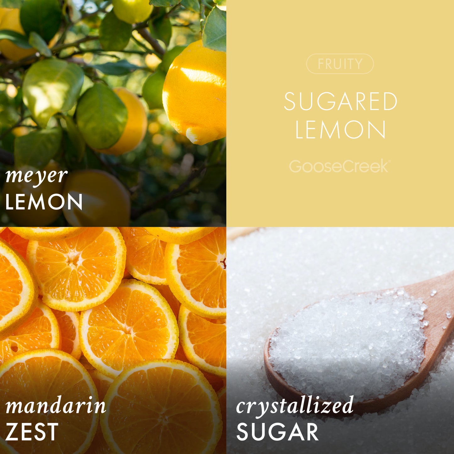 Sugared Lemon Foaming Hand Soap