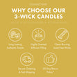 Load image into Gallery viewer, Sugared Lemon High Intensity 3-Wick 14.5oz Candle
