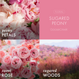 Load image into Gallery viewer, Sugared Peony 3-Wick Candle
