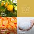Load image into Gallery viewer, Sugared Lemon High Intensity 4-Wick 26oz Candle
