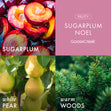 Load image into Gallery viewer, Sugarplum Noel 3-Wick Candle
