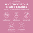 Load image into Gallery viewer, Sugarplum Noel 3-Wick Candle
