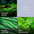 Load image into Gallery viewer, Summer Moon Plug-in Refill

