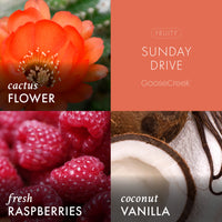 Sunday Drive Plug-in Refill