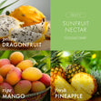 Load image into Gallery viewer, Sunfruit Nectar 3-Wick Candle
