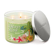 Load image into Gallery viewer, Sunfruit Nectar 3-Wick Candle

