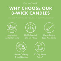Sunfruit Nectar 3-Wick Candle