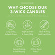 Load image into Gallery viewer, Sunfruit Nectar 3-Wick Candle
