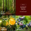 Load image into Gallery viewer, Sunlit Path 3-Wick Candle
