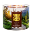 Load image into Gallery viewer, Sunlit Path 3-Wick Candle
