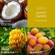 Load image into Gallery viewer, Sunlit Sands 3-Wick Candle
