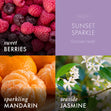 Load image into Gallery viewer, Sunset Sparkle Plug-in Refill
