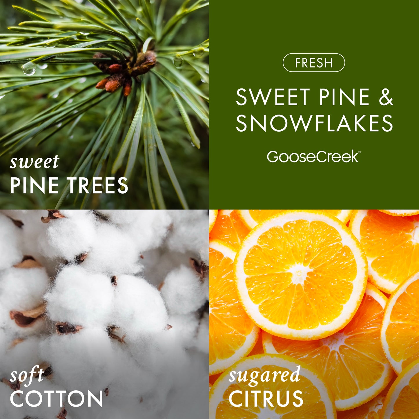 Sweet Pine & Snowflakes 3-Wick Candle