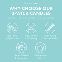 Sweet Salt Water Taffy 3-Wick Candle