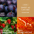 Load image into Gallery viewer, Winnie the Pooh 4-Pack Collector&amp;#39;s Box

