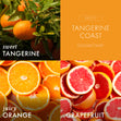 Load image into Gallery viewer, Tangerine Coast 3-Wick Candle
