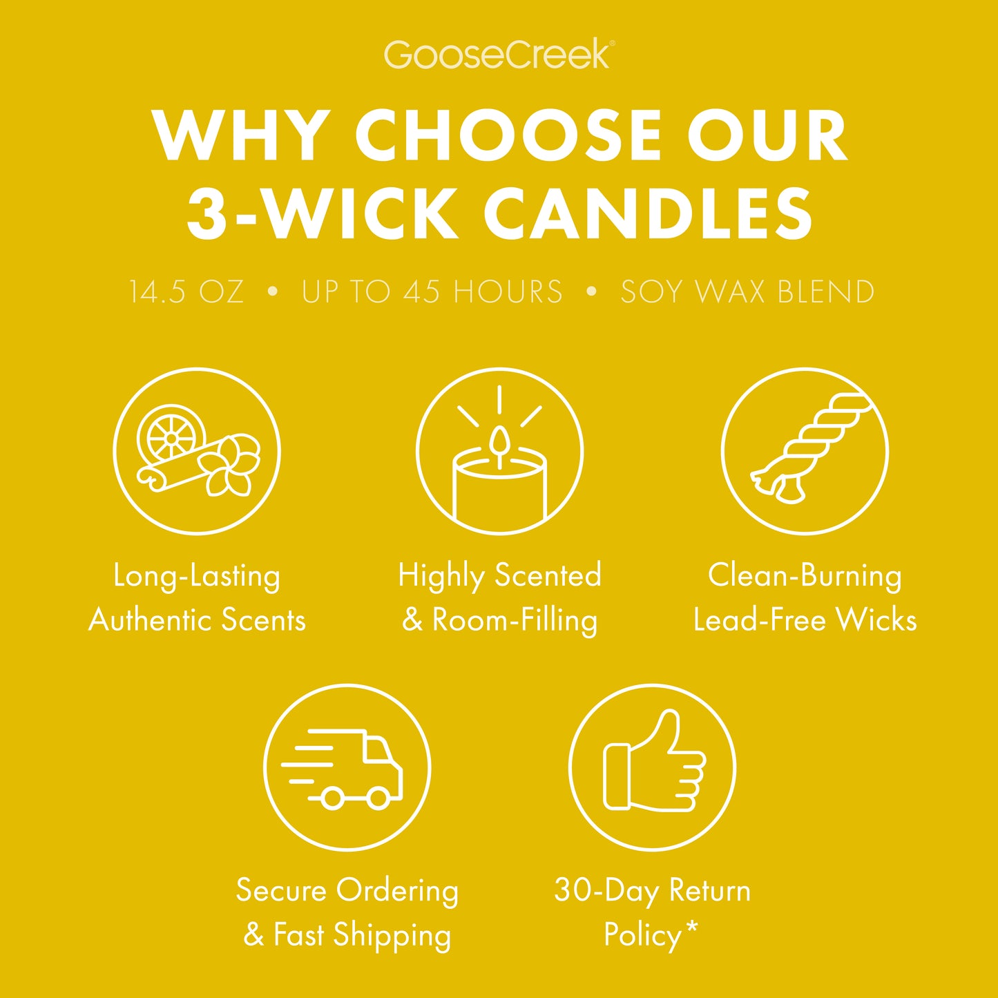 The Wild Thornberry's Nickelodeon 3-Wick Candle