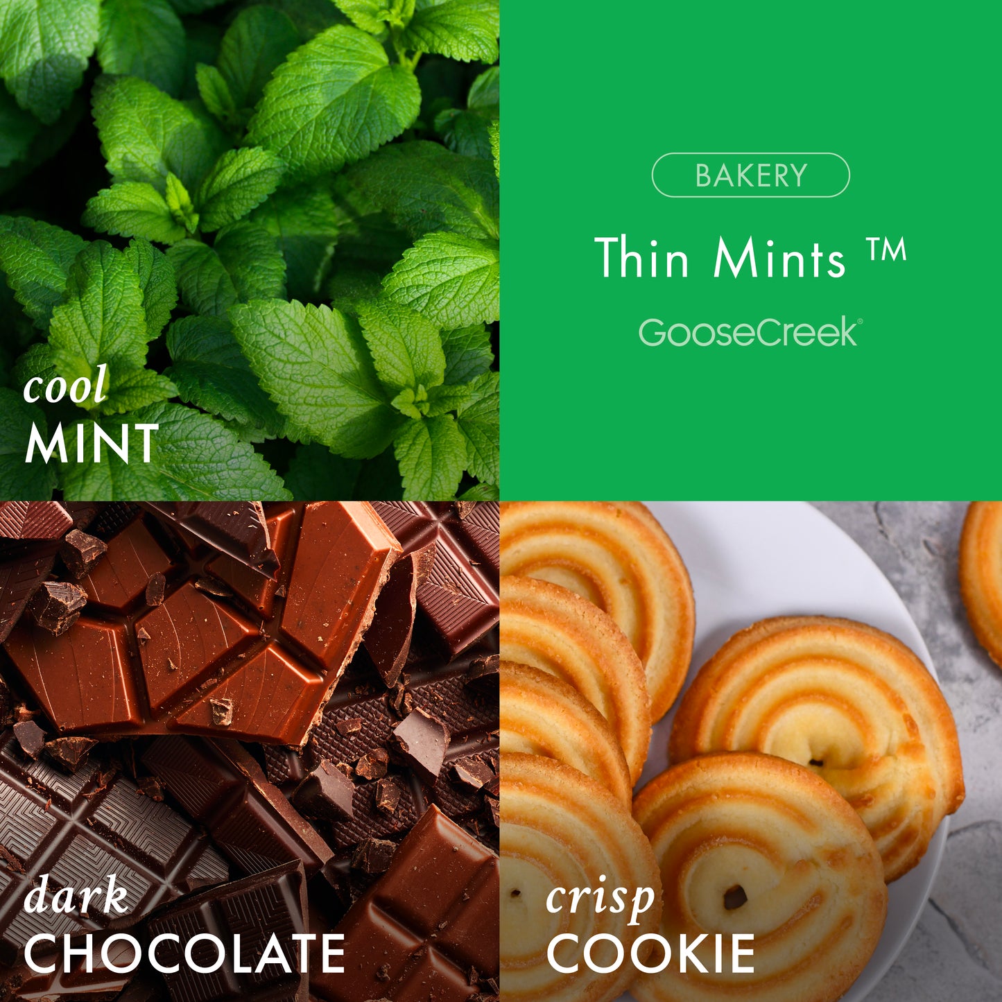 Thin Mints™ Girl Scouts 3-Wick Candle