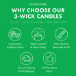 Load image into Gallery viewer, Thin Mints™ Girl Scouts 3-Wick Candle
