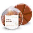 Load image into Gallery viewer, This Is Autumn Wax Melt
