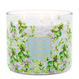 Load image into Gallery viewer, Thyme &amp;amp; Terra 3-Wick Candle
