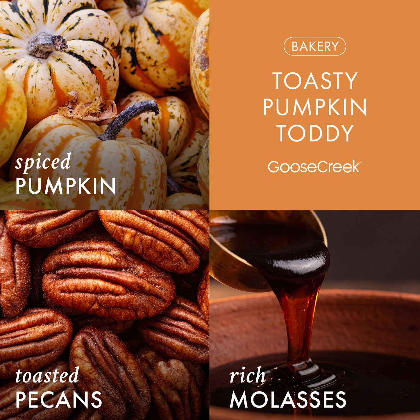Toasty Pumpkin Toddy 3-Wick Candle
