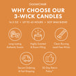 Load image into Gallery viewer, Toasty Pumpkin Toddy 3-Wick Candle
