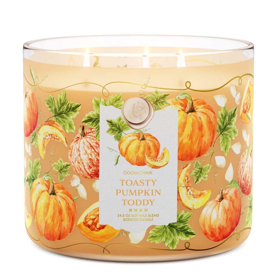 Toasty Pumpkin Toddy 3-Wick Candle