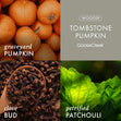 Load image into Gallery viewer, Tombstone Pumpkin 3-Wick Candle
