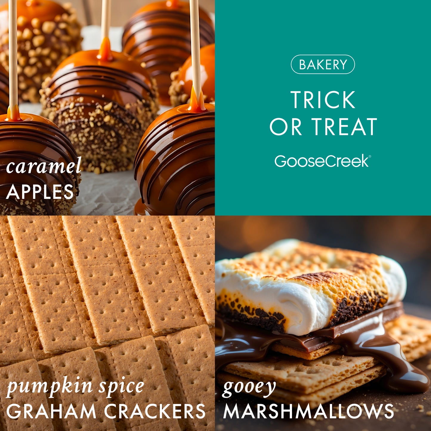 Trick Or Treat 3-Wick Candle