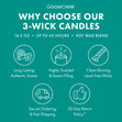 Load image into Gallery viewer, Trick Or Treat 3-Wick Candle
