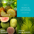 Load image into Gallery viewer, Tropical Daydream 3-Wick Candle
